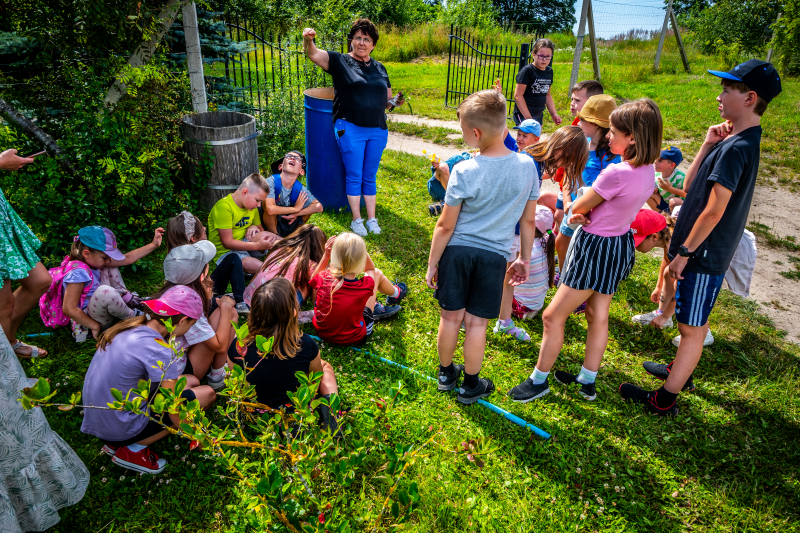 Wakacje w bibliotece 2024 - tydzień drugi