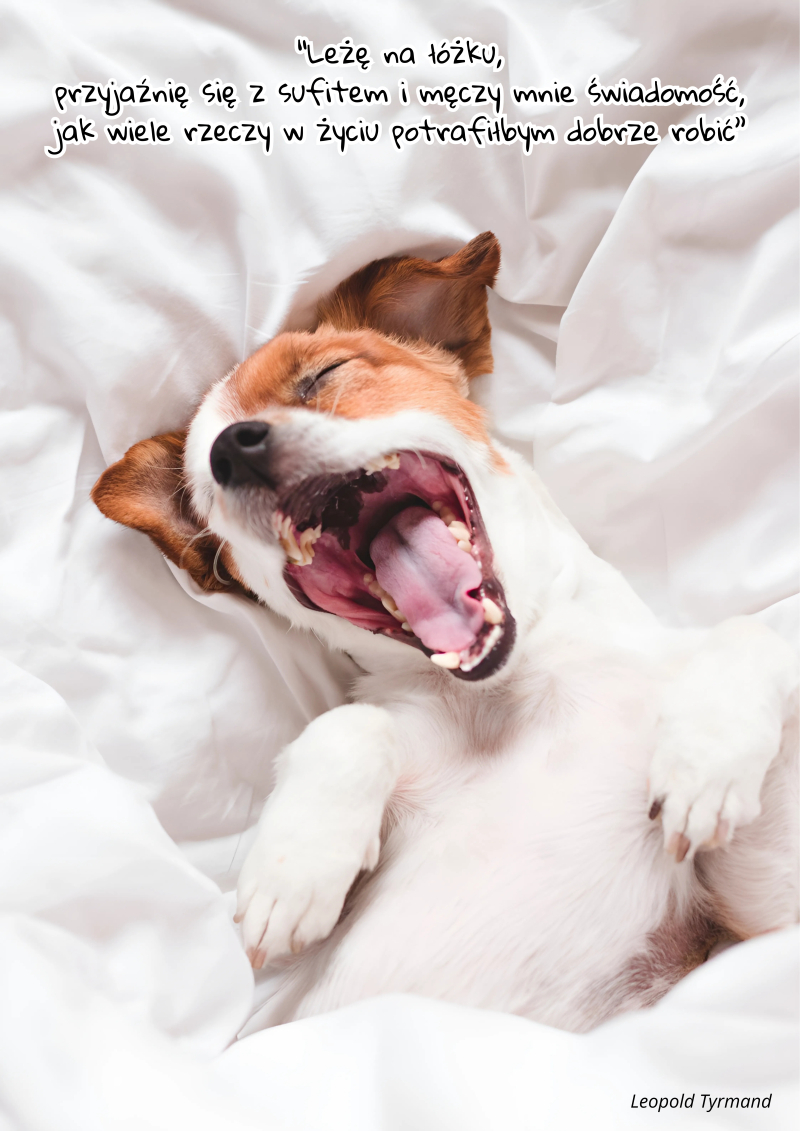 „Leżę na łóżku, przyjaźnię się z sufitem i męczy mnie świadomość, jak wiele rzeczy w życiu potrafiłbym dobrze robić”, Leopold Tyrmand