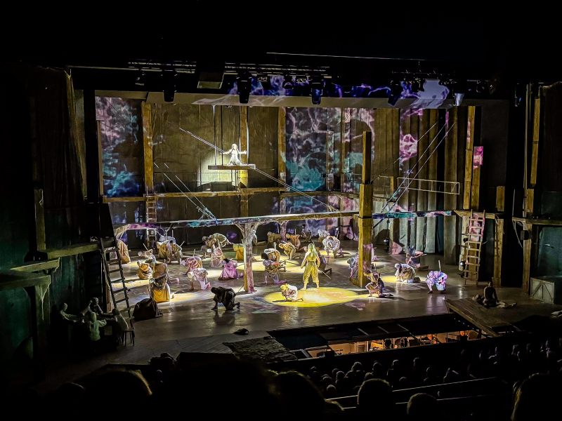 Wyjazd do Teatru Muzycznego w Gdyni na musical WIEDŹMIN