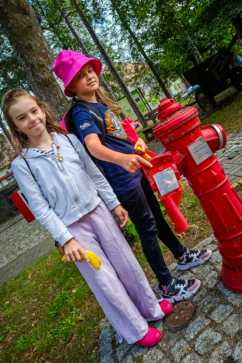 Wakacje w bibliotece 2024 - tydzień czwarty