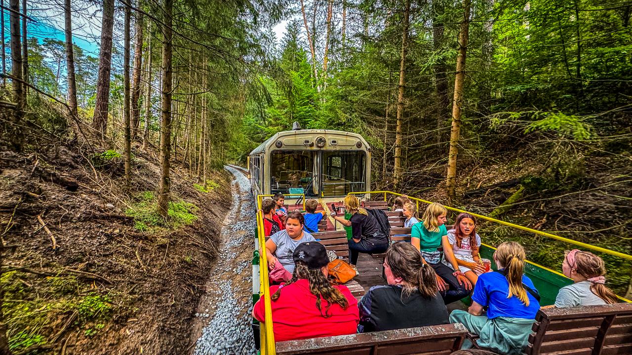 Wakacje w bibliotece 2024 - tydzień drugi