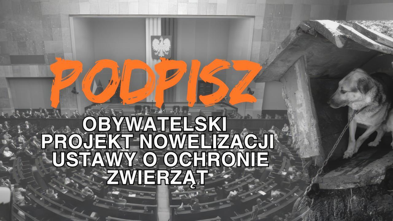 Petycja „Stop łańcuchom, pseudohodowlom i bezdomności zwierząt”