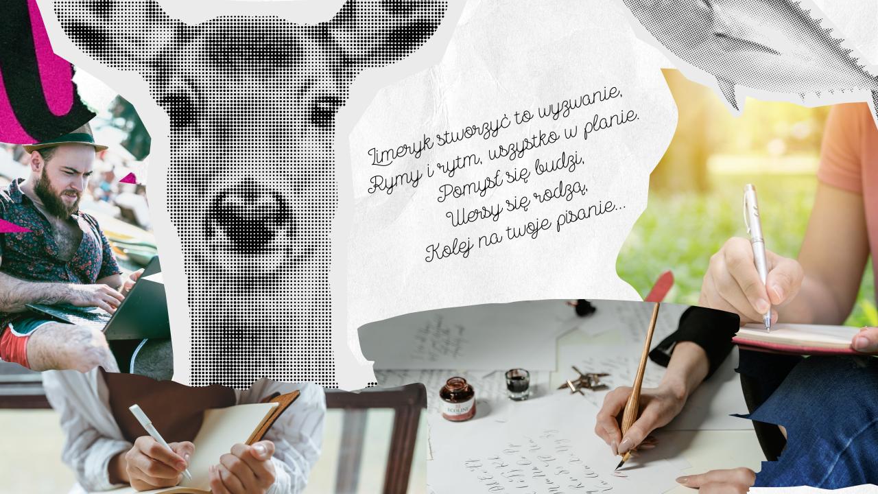 Rozstrzygnięcie konkursu „Sulimeryk - Borne w pięciu wersach”